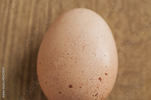 Egg shell texture detail