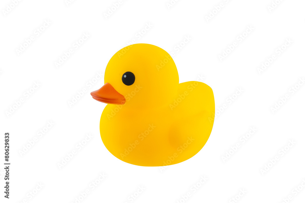 Yellow rubber duck on White Background Yellow rubber duck on White Background
