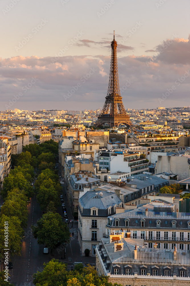 Eiffel Tower and Paris rooftops before sunset, France