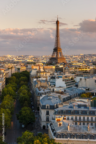 Eiffel Tower and Paris rooftops before sunset, France © Francois Roux