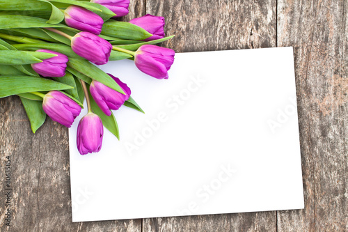 Fototapeta Naklejka Na Ścianę i Meble -  violet tulips on the oak brown table with white sheet of paper 5