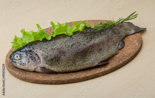 Raw fresh trout