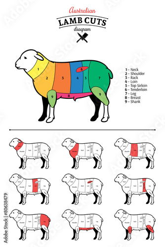 Australian Lamb Cuts Diagram