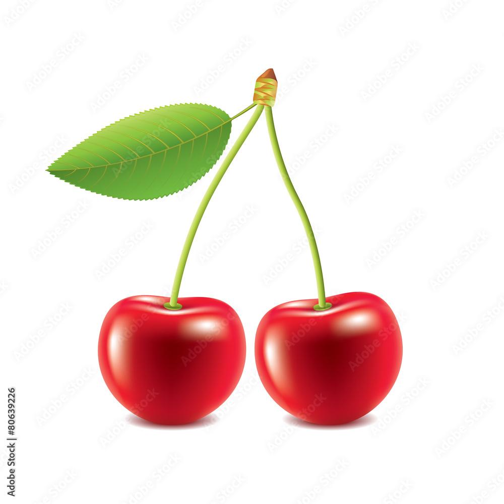 Cherry isolated on white vector Cherry isolated on white vector