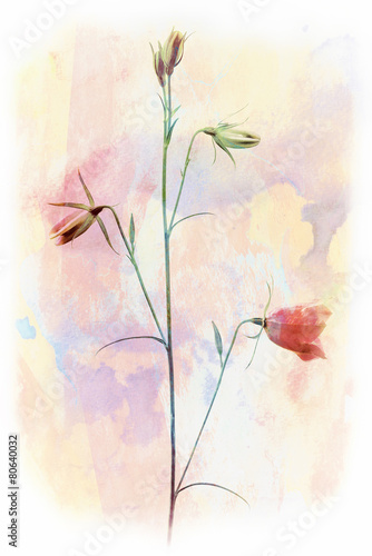 Painting of bellflower in w...