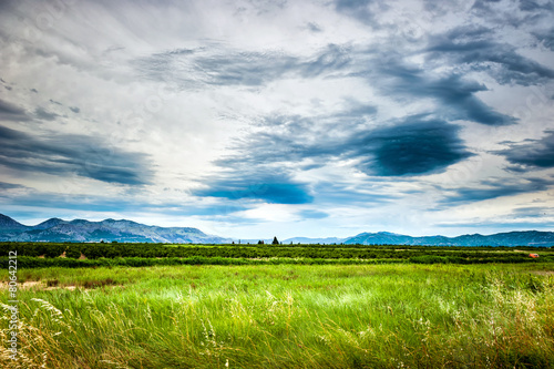 Soothing view of the green meadow and cloudy sky
