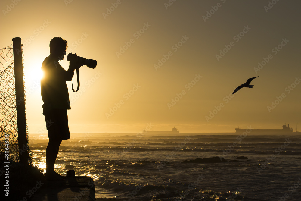 Obraz premium Wildlife Photographer