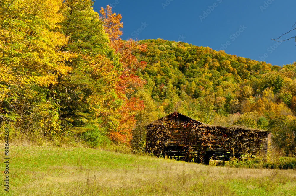 Old wooden barn surrounded by fall leaves.