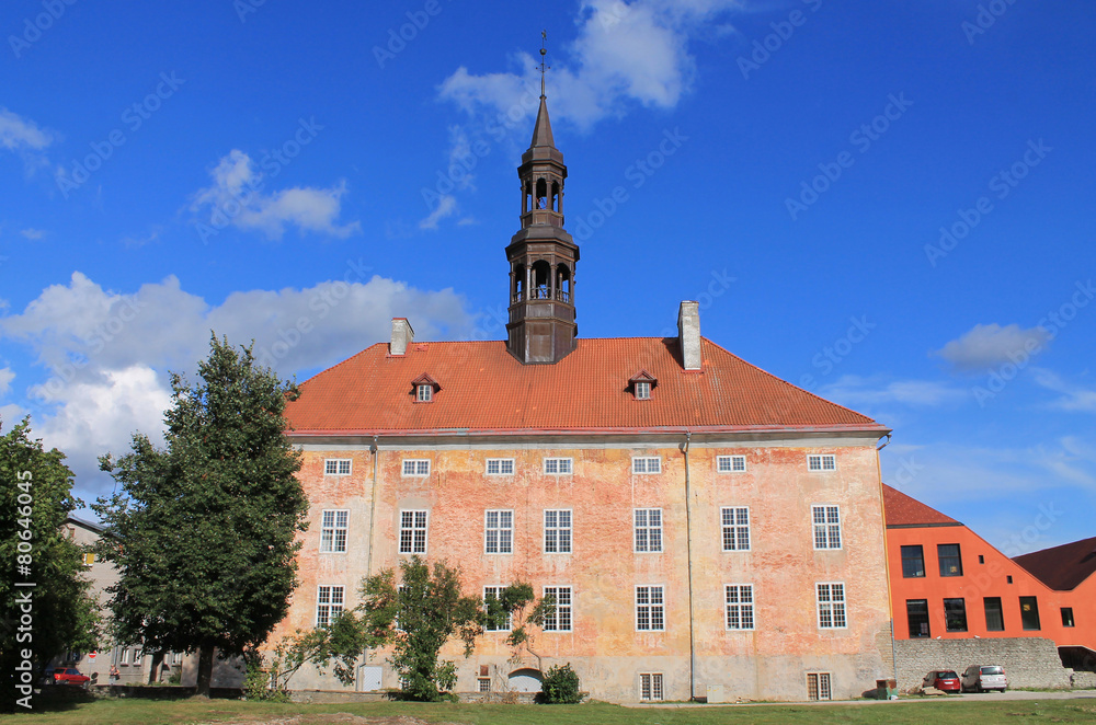 Obraz premium TOWN HALL IN NARVA