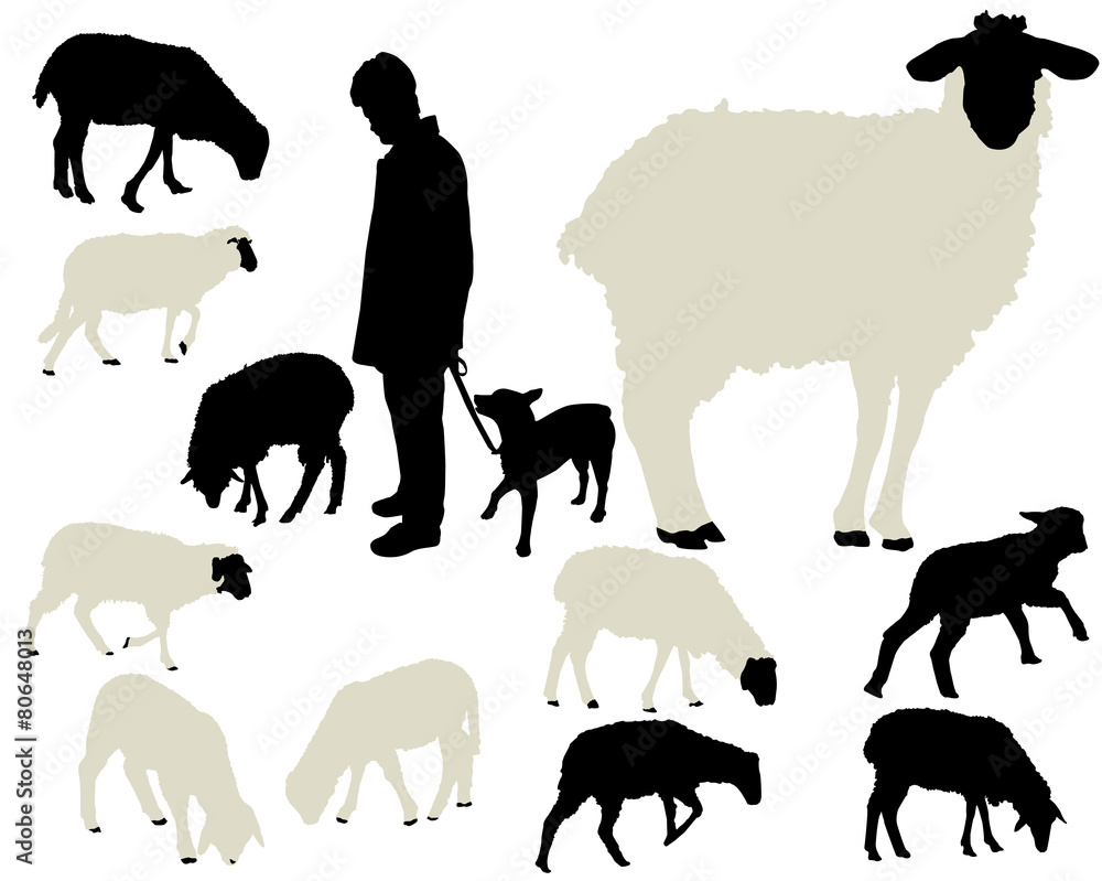 Fototapeta premium sheep vector silhouettes