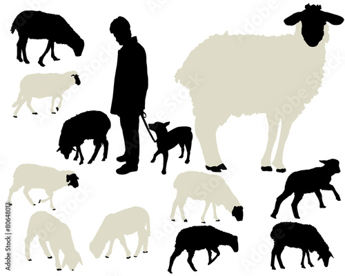 sheep vector silhouettes