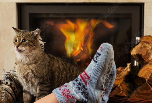 Fototapeta Naklejka Na Ścianę i Meble -  cat and feet in front of the fireplace