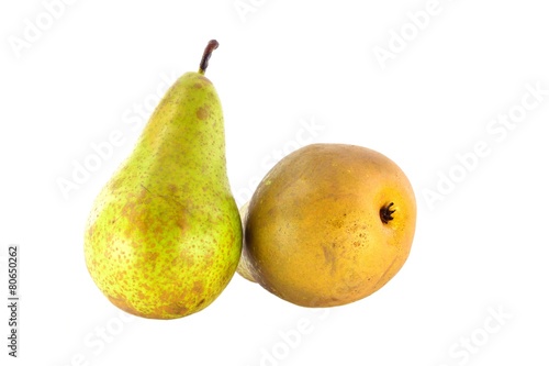 Pear varieties Conference