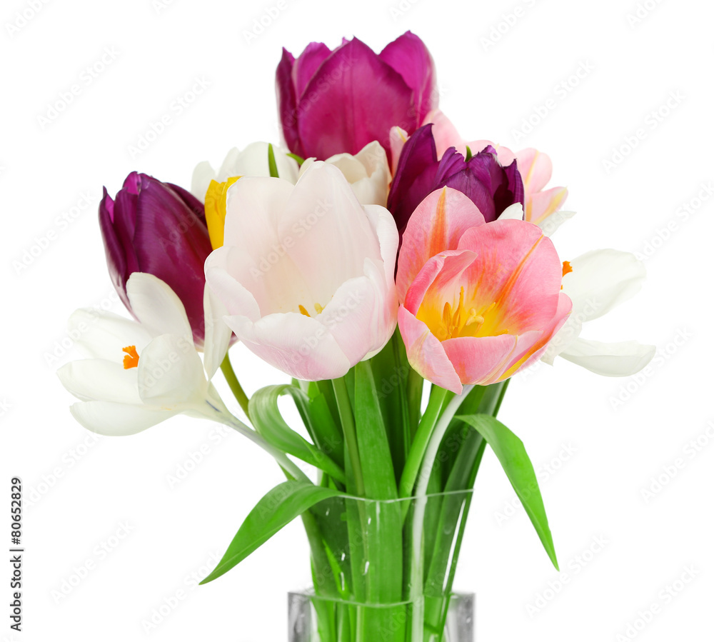 Beautiful spring flowers isolated on white Beautiful spring flowers isolated on white