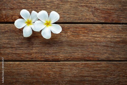 White frangipani on wooden background