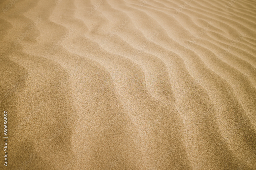 sand texture background sand texture background