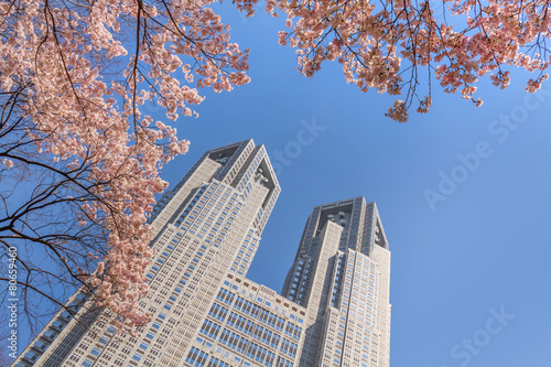 東京都庁と桜 Cherry and Tokyo Metropolitan Government © norikko