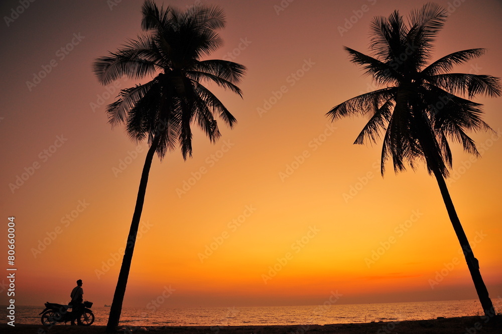 Beautiful Beach at Sunset Backgrounds