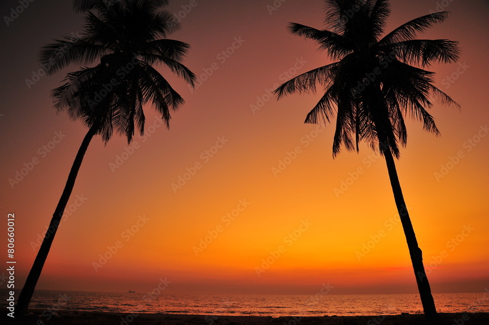 Beautiful Beach at Sunset Backgrounds