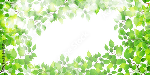 葉　新緑　背景
