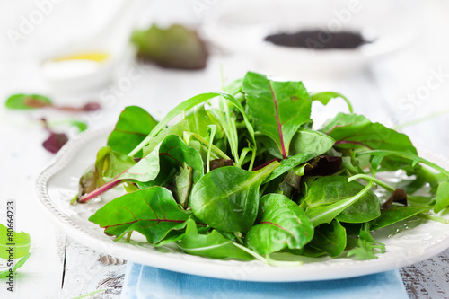 Fresh green salad