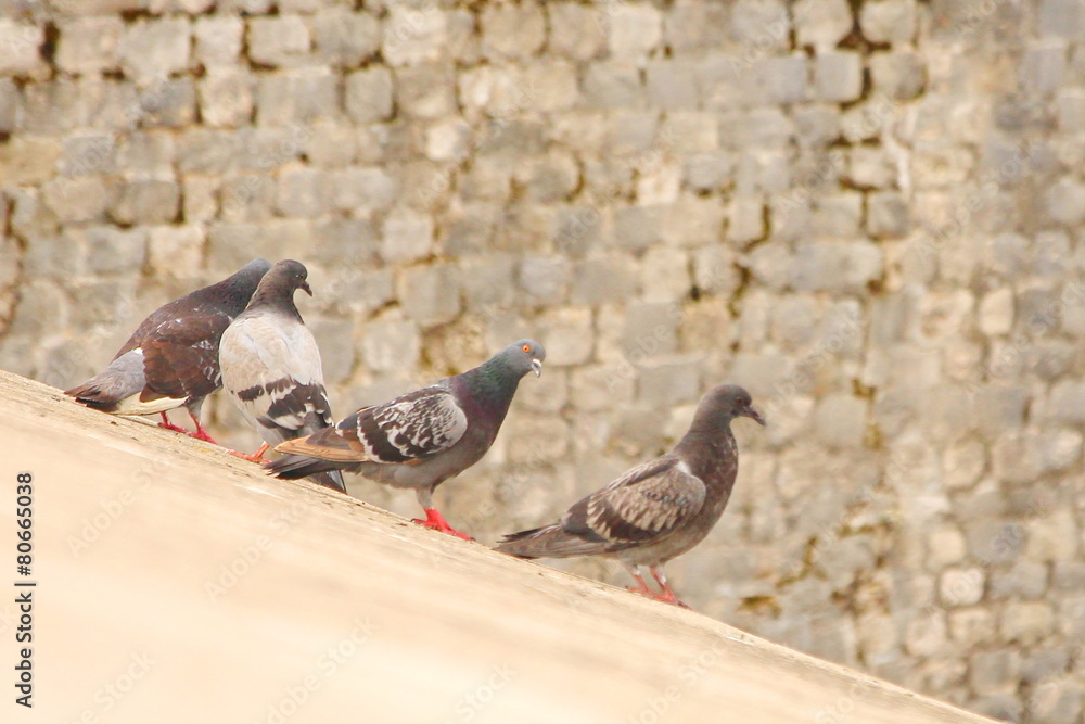Fototapeta premium Dubrovnik, a Mediterranean town