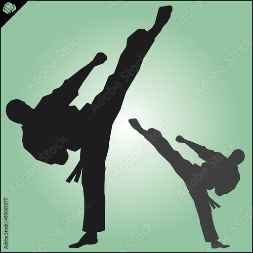 Karate. Taekwon-do. Kung-fu. High kick. MARTIAL ARTS.