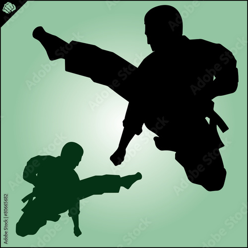 Karate. Taekwon-do. Kung-fu. High kick. MARTIAL ARTS.