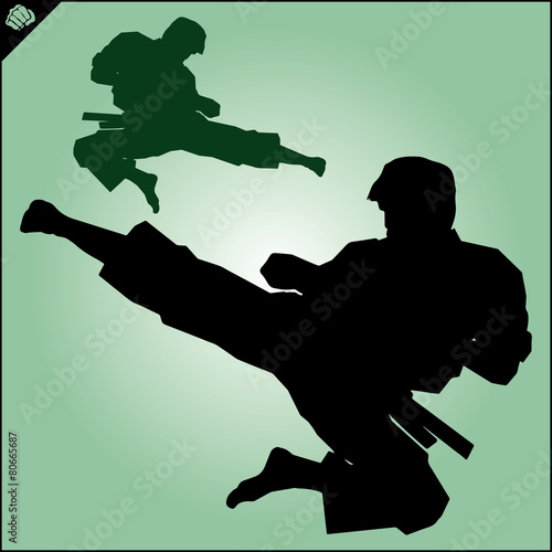 Karate. Taekwon-do. Kung-fu. High kick. MARTIAL ARTS.