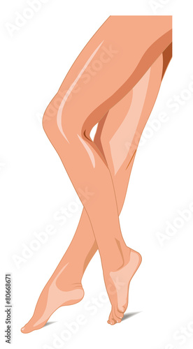 beautiful female legs