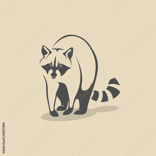 Raccoon icon.