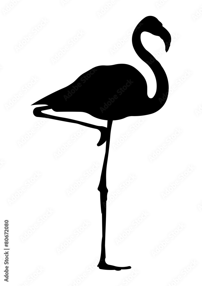 Naklejka premium Flamingo Silhouette