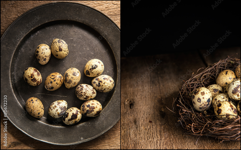 Compilation of moody natural lighting setting of quaills eggs wi Compilation of moody natural lighting setting of quaills eggs wi