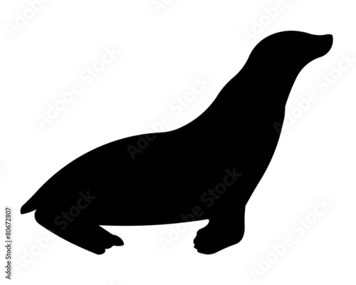 Seelöwe Silhouette