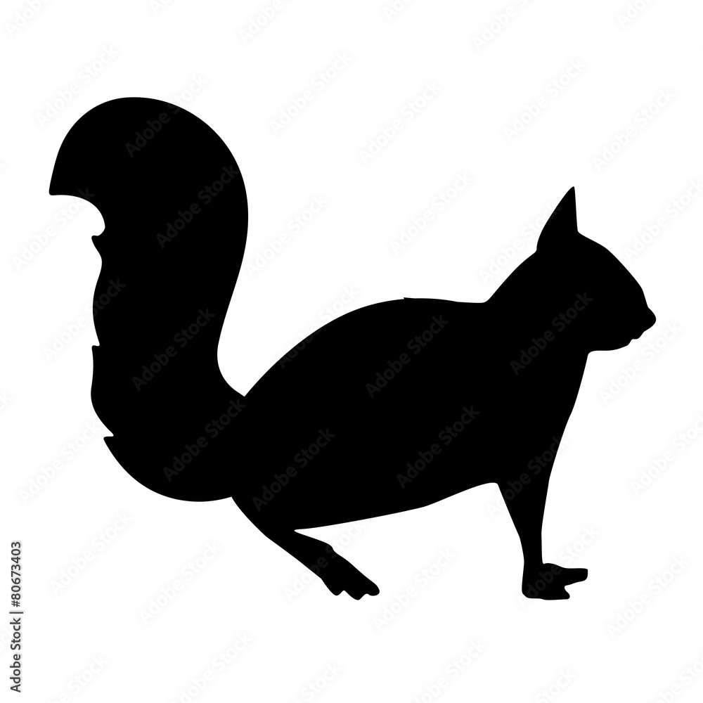 Eichhörnchen Silhouette Stock-Vektorgrafik | Adobe Stock
