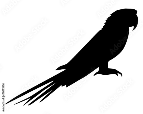 Papagei Silhouette