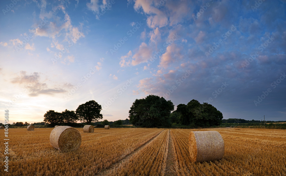 Naklejka premium Stunning Summer sunset landscape over feild of hay bales