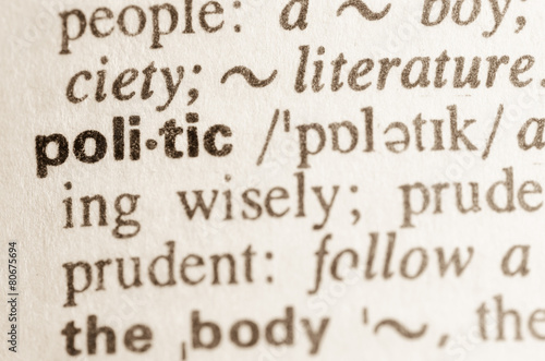 Dictionary definition of word politic
