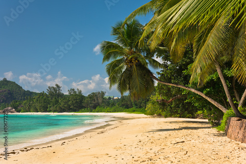 Fototapeta Naklejka Na Ścianę i Meble -  Tropical beach at Mahe island Seychelles