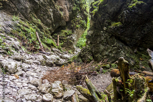 Ravine Cracow - Tatra National Park, Poland.