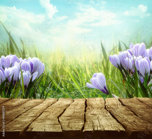 Fototapeta Naklejka Na Ścianę i Meble -  Spring background