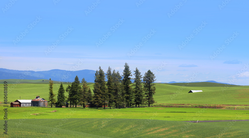 Farm landscape Farm landscape