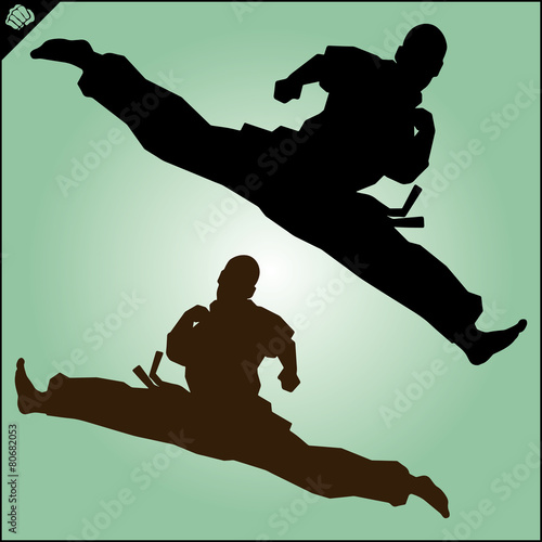 Karate. Taekwon-do. Kung-fu. High kick. MARTIAL ARTS.