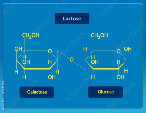 Lactose photo