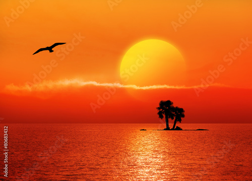 Möwe, Meer und Sonnenuntergang