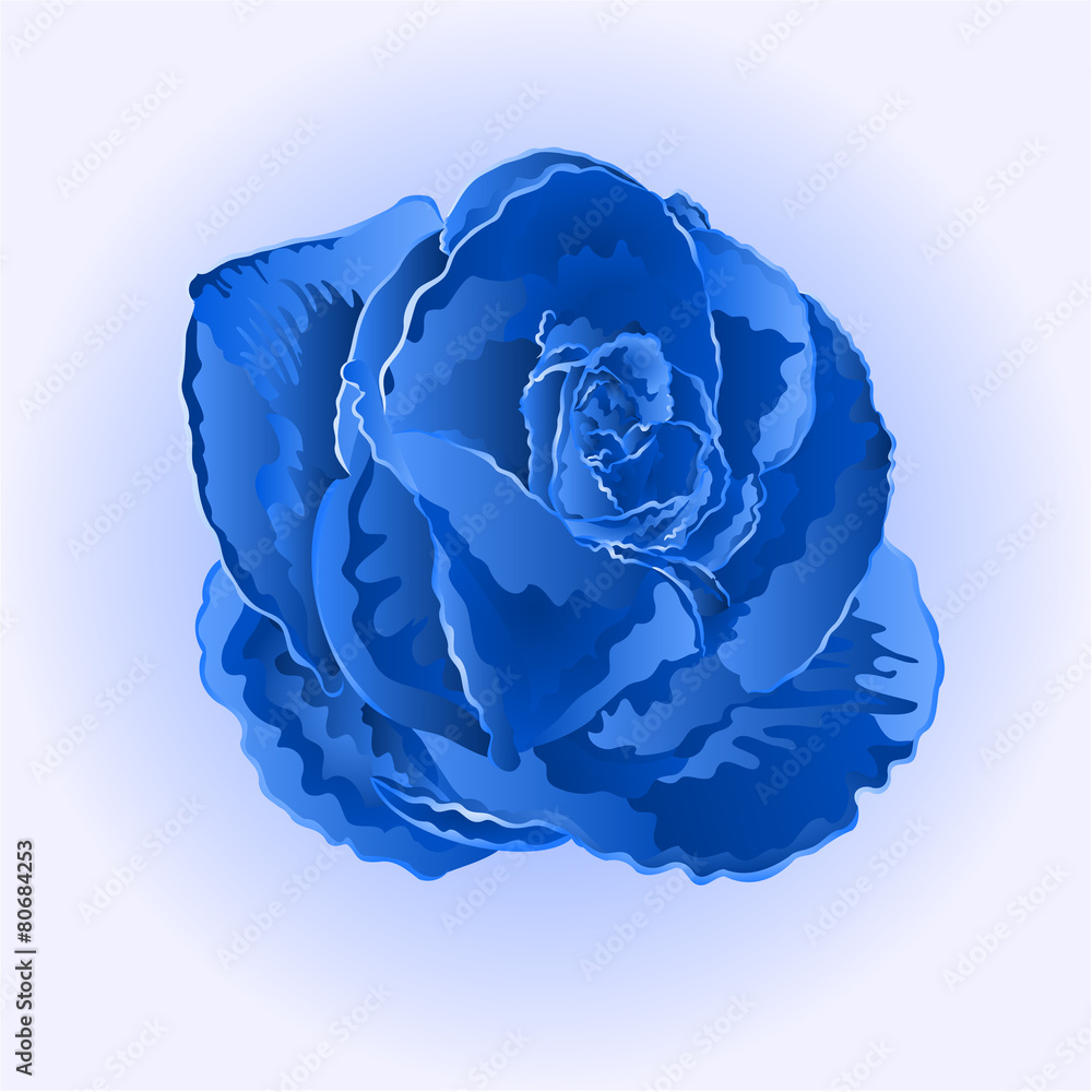 Obraz premium Flower blue rose vector
