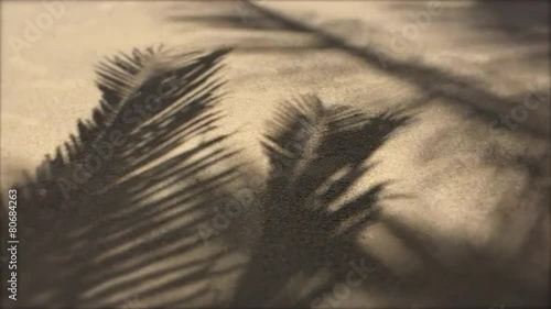 Palm Tree Shadows Textured Sand