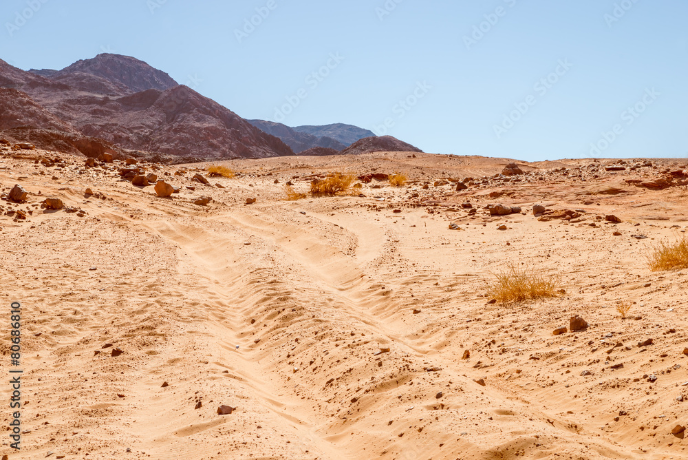 Way on desert. Sinai,  Egypt.