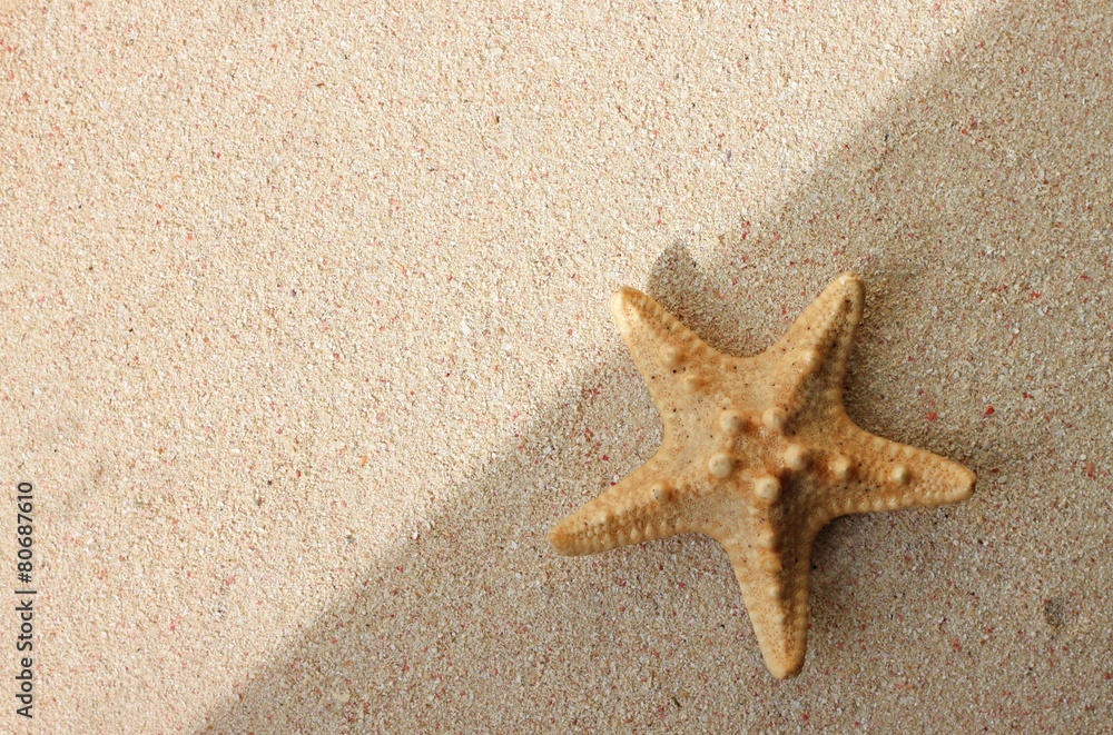 starfish on sand sunlit background starfish on sand sunlit background