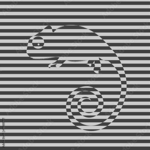 chameleon